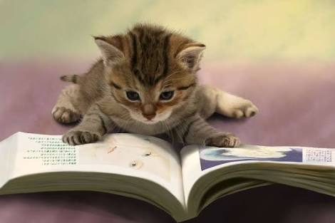 猫読書