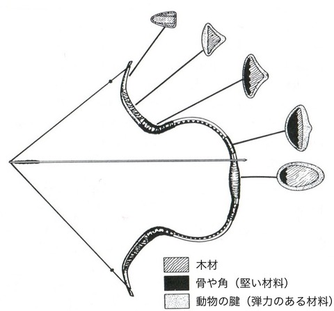 トルコ弓の構造①